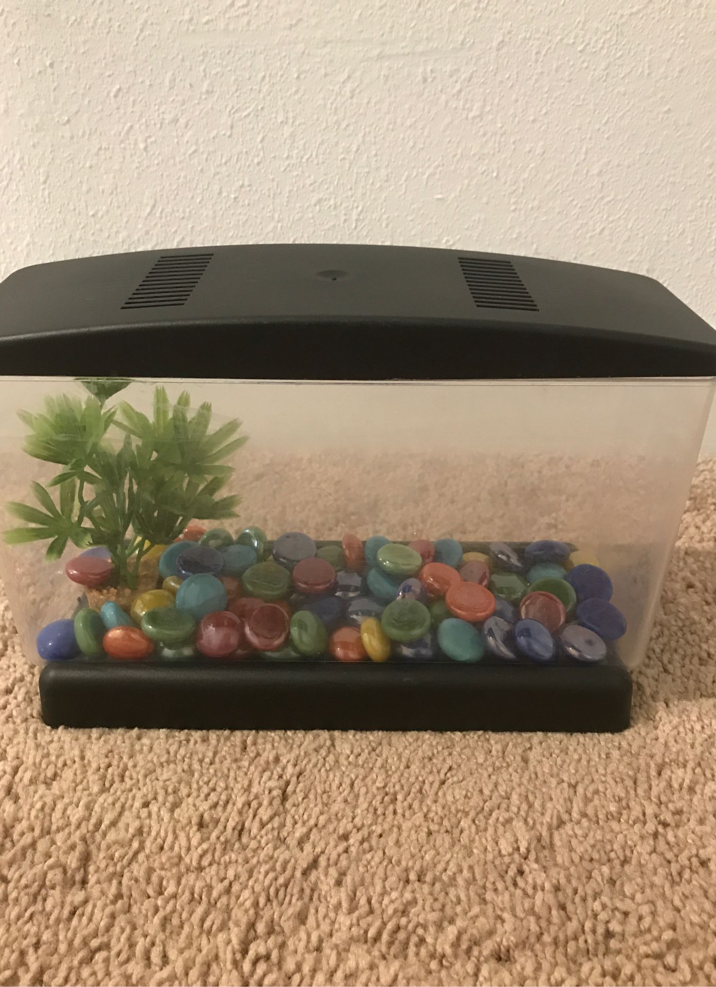 Pecera/ fish tank