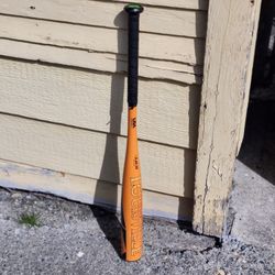 Baseball Bat