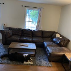 TLC Huge Leather Sectional Couch