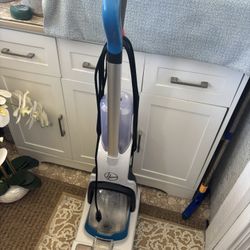 Carpet Cleaner 