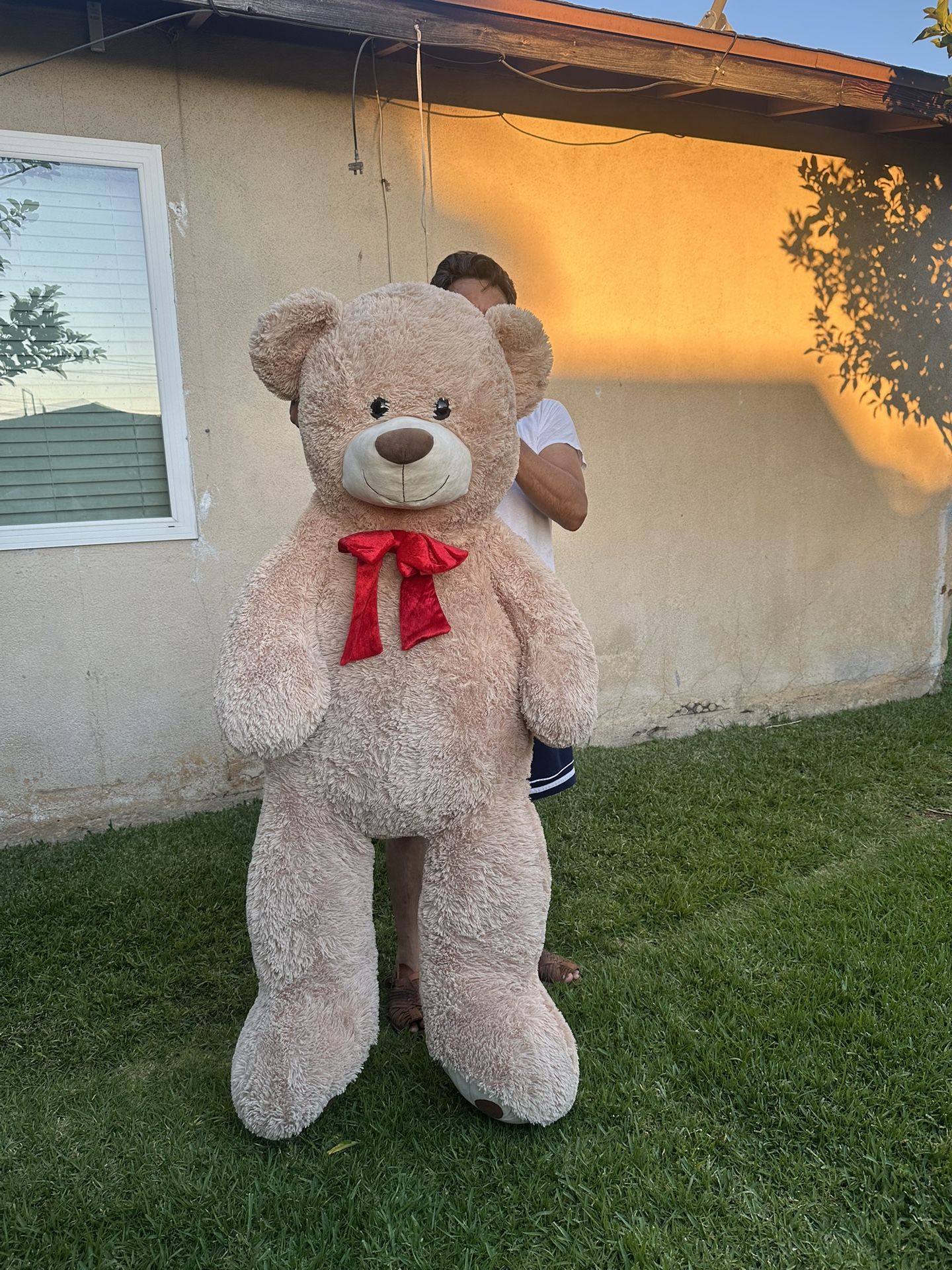 Huge Teddy Bear