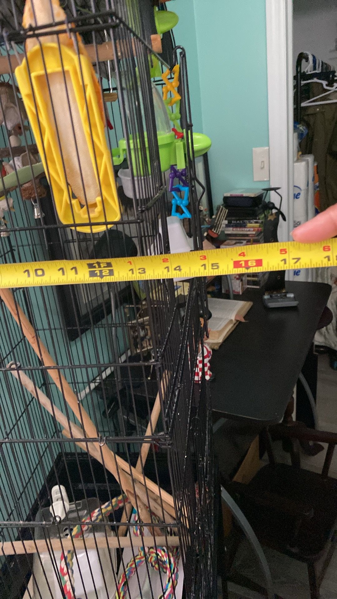 Bird Cage