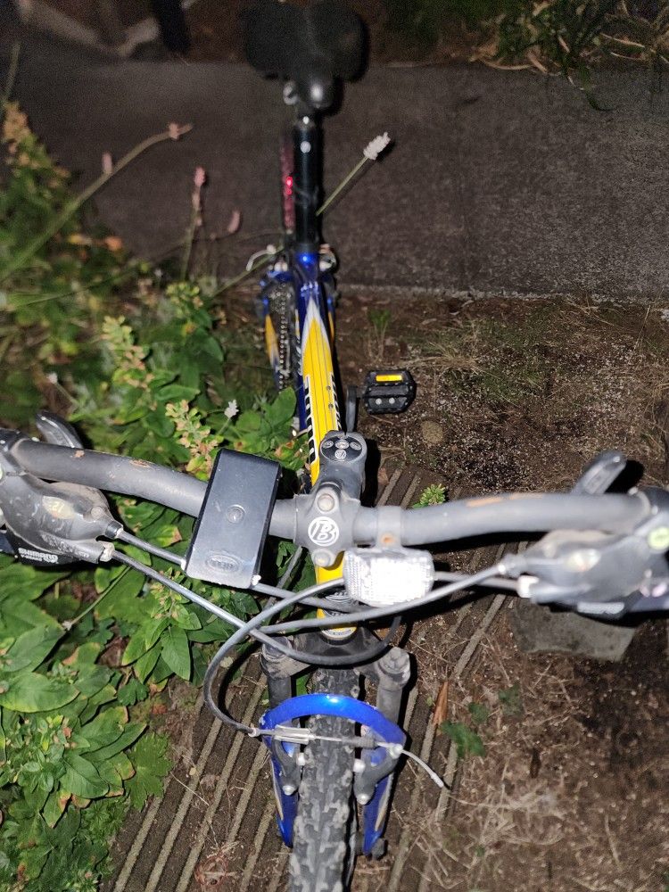 Trek 3900 ALPHA Custom Aluminum