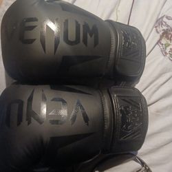 Venum Boxing Gloves 16oz 