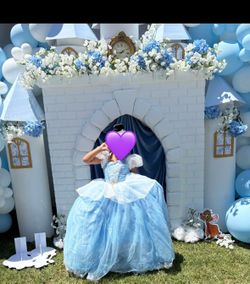 Castle Backdrop, Disney, Princess Party