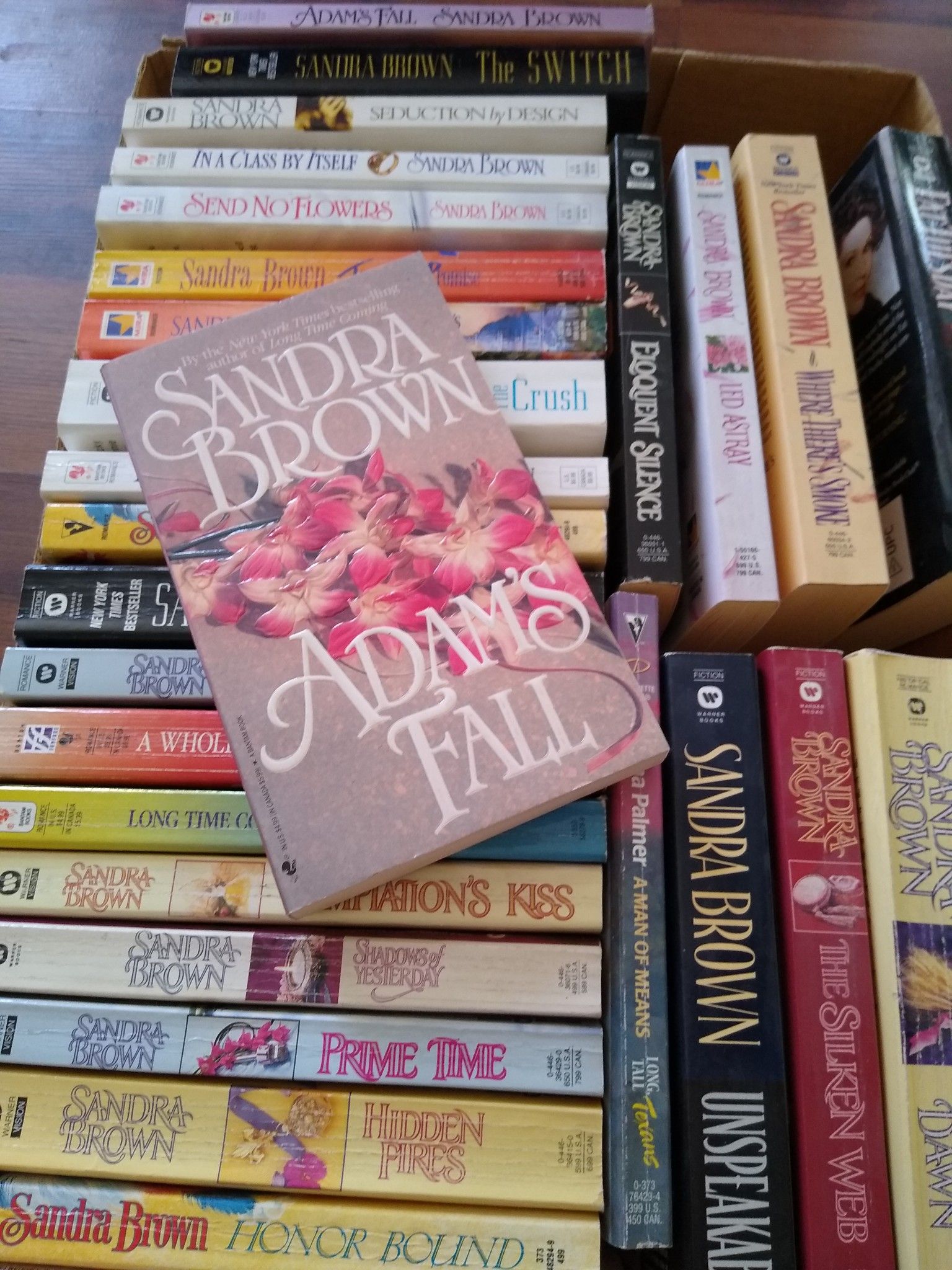 Sandra brown books