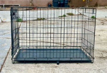 Large & Extra Large Cages