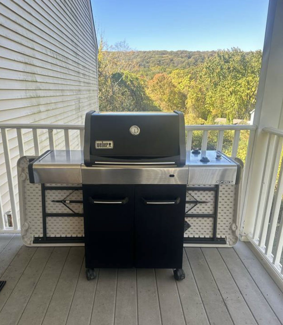 WEBER GAS GRILL