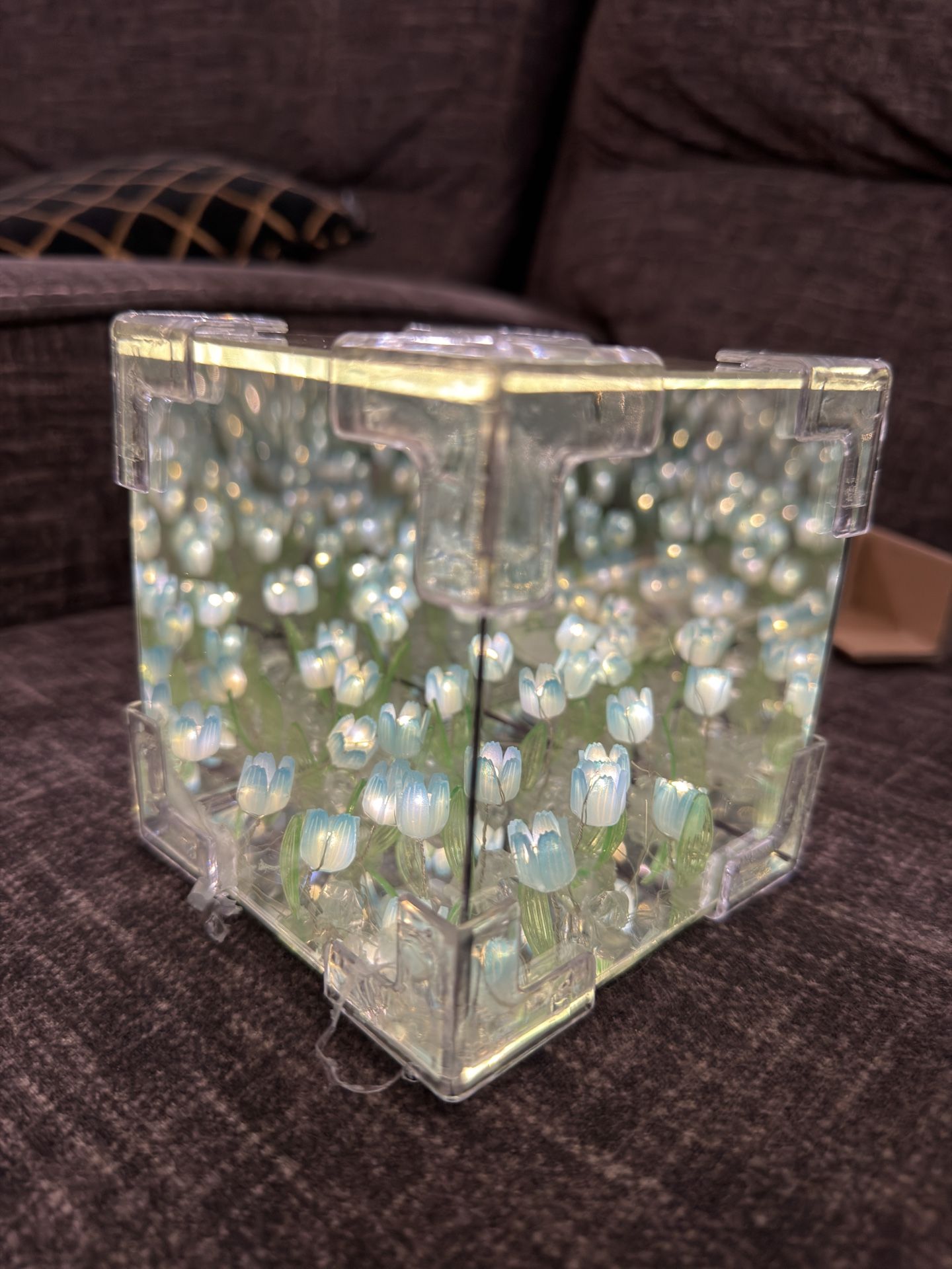 Beautiful Cube Like With Flowers Inside That Light Up