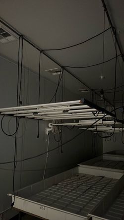 Fluence Suspended LED Grow Light Bar System