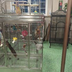 Bird Boarding Facility 