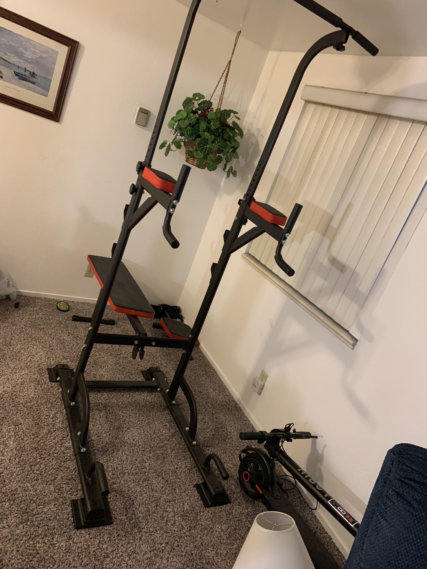 Weight And Excersise Bench 