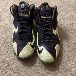 Lebron 11 Allstar Gator King 