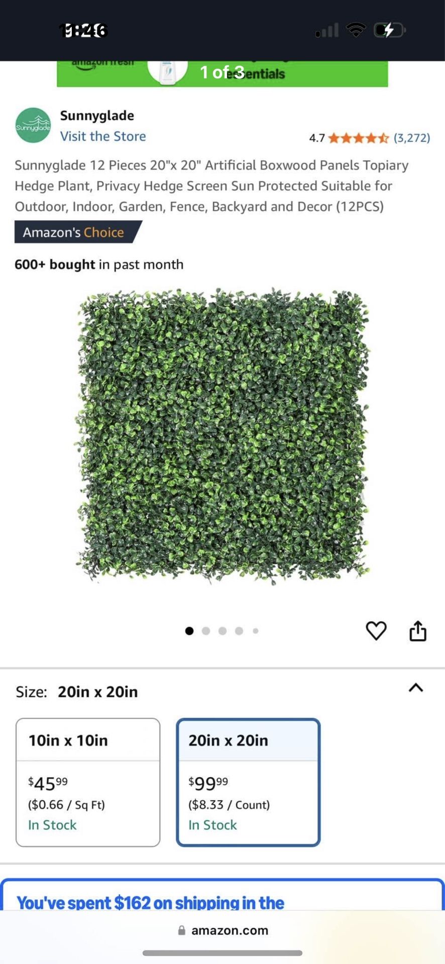 Grass Backdrop