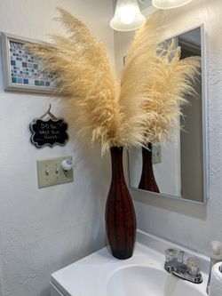 Pampas grass