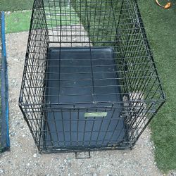 Large Dog Crate 36 Inches Long By 24 Inches High And 22 Inches Wide Comes With Two Gates