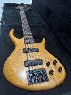 Tobias Bartolini 5 String Bass