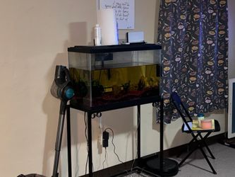 35 Gallon Fish Tank And Stand 