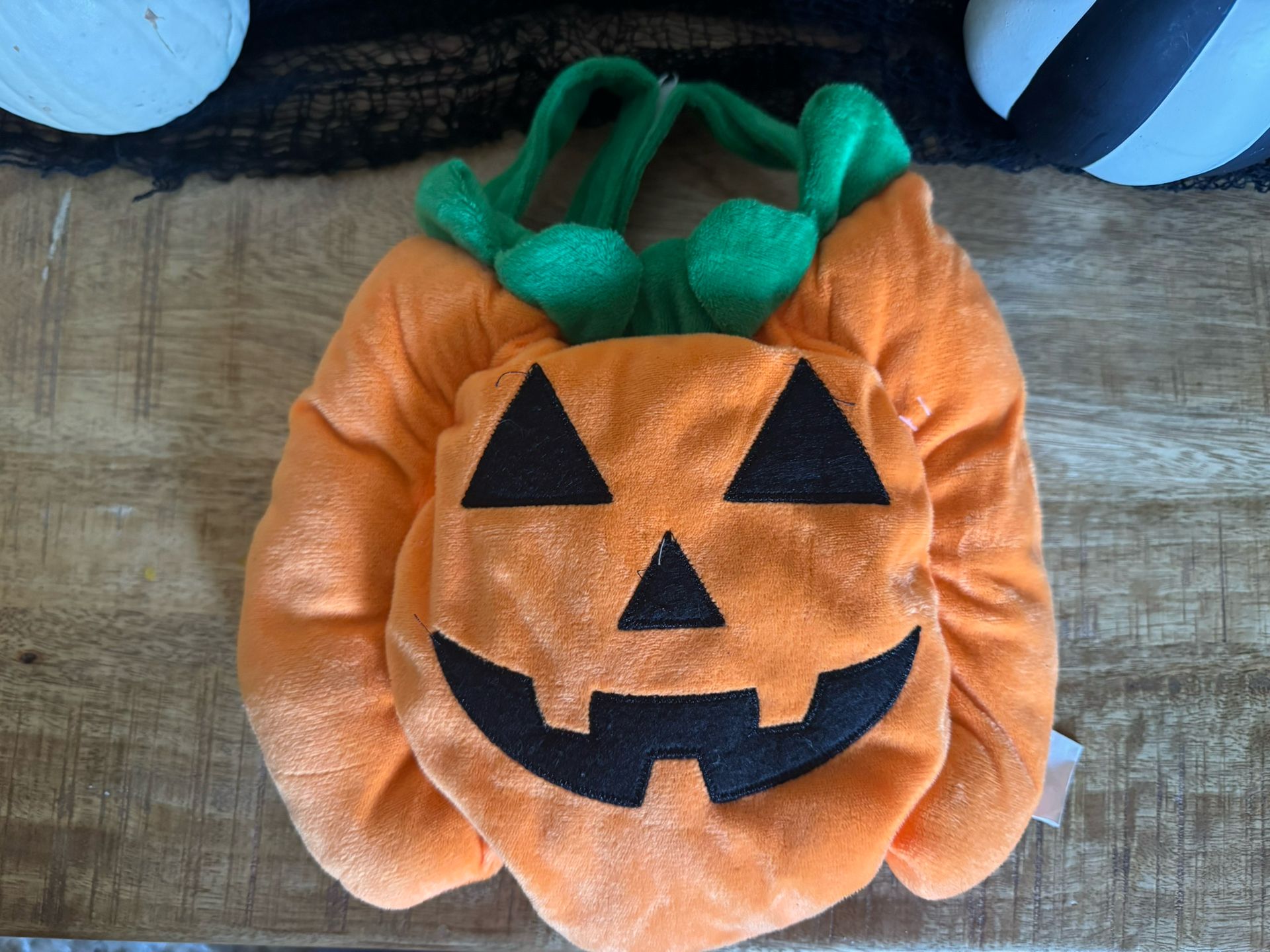 Dog Halloween costume