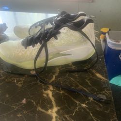 Zion 1s basketball Shoes