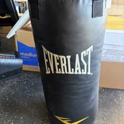 Everlast Hanging Punching Bag