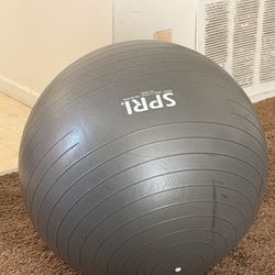 Semi Heavy SPRI Fitness Ball, used