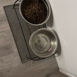 Dog Food Water Set