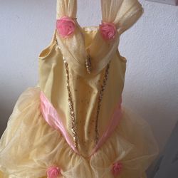 Princess Belle Dresses 