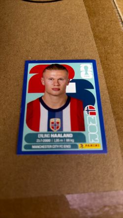 Panini World Cup Blue Haaland