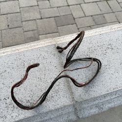 Reptile Vine Bendable Shapable 