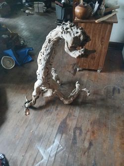Very awesome peculiar piece of tree!!