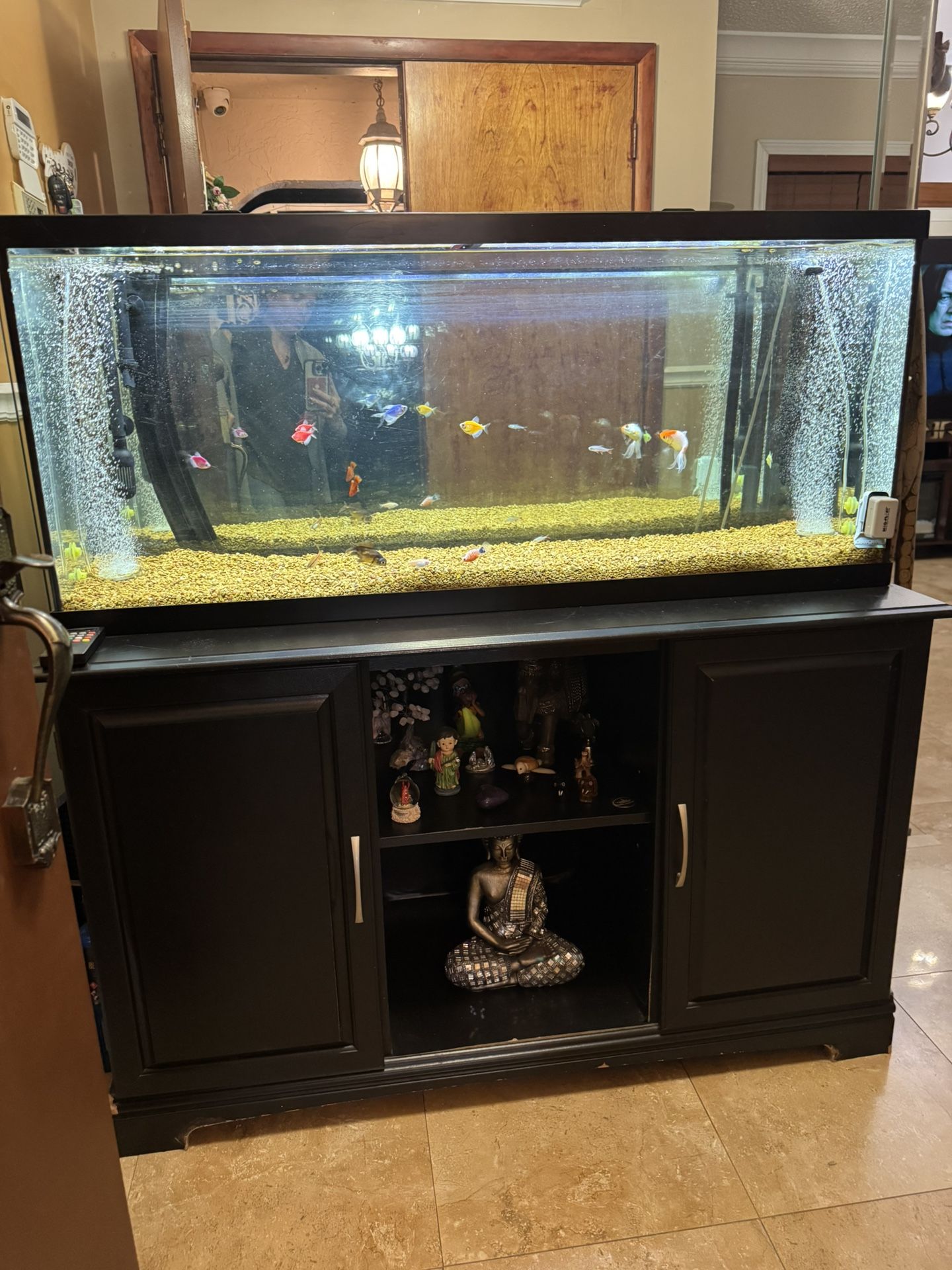55-gallons Fish Tank