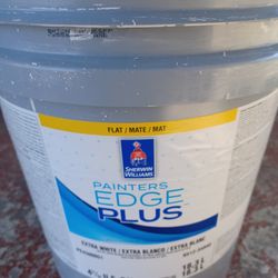 5 Gallons Interior Flat White Paint 