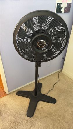 Fan
