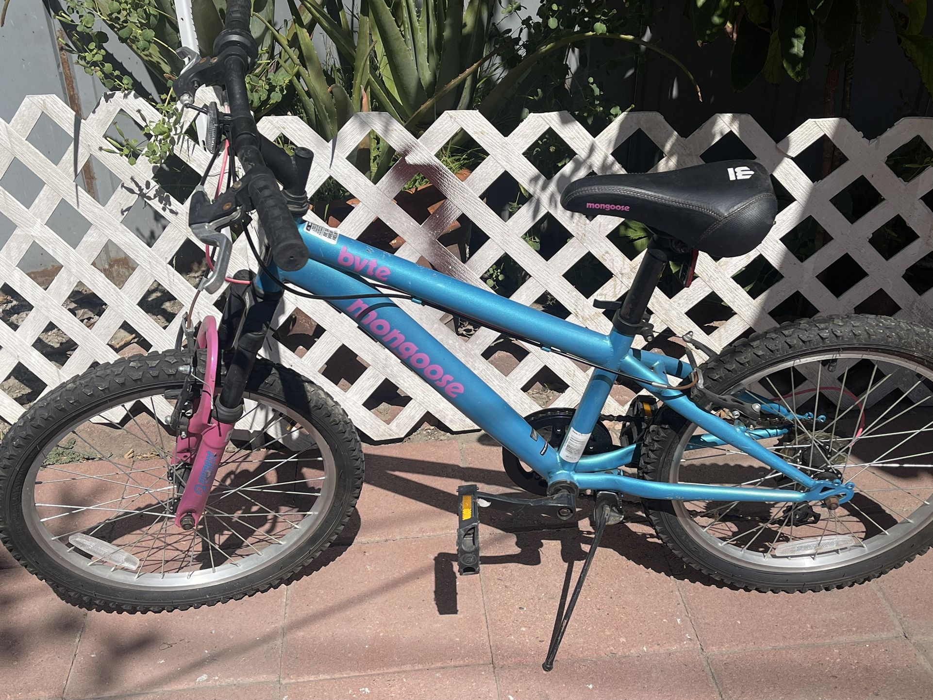 Mongoose Bike, 20inch, 