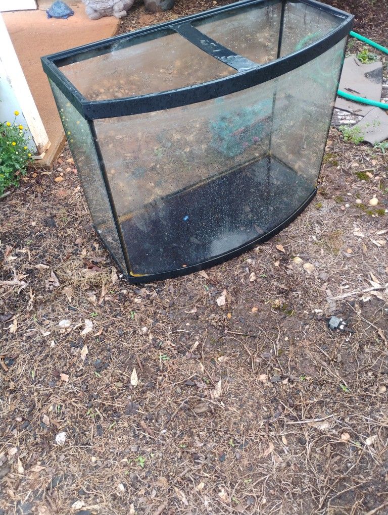 80 Gallon Aquarium