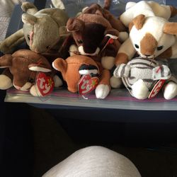 Beanie Baby Cats Lot Of 8 $45 OBO