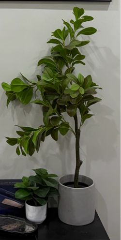 Faux plant