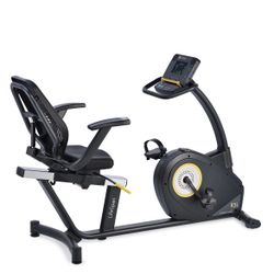 Lifespan Fitness R3i Recumbent Bike
