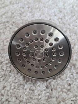 Moen Shower Head.