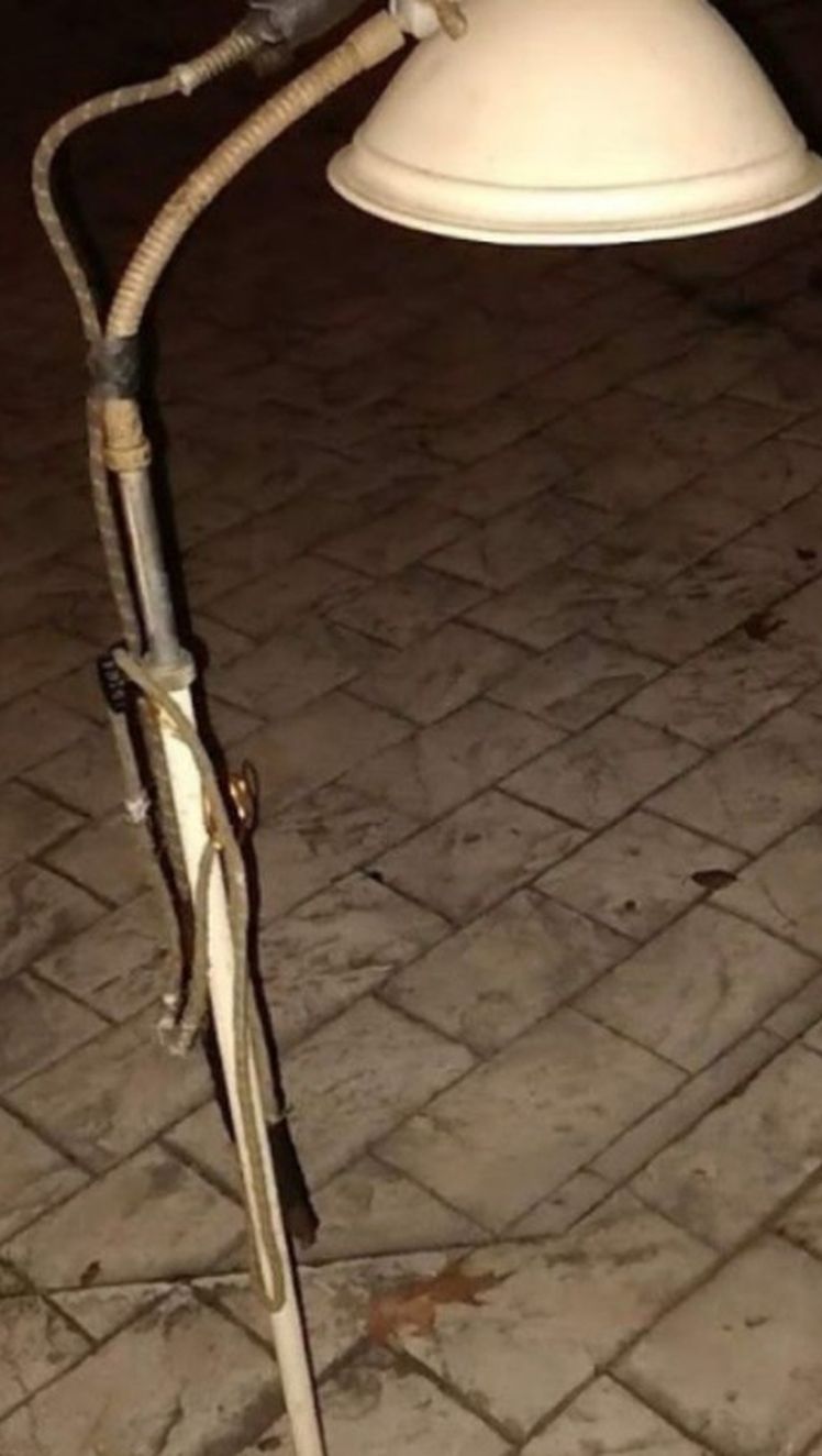 110v Heat Lamp...Health Or Heat Animals..Barns Sheds Garages