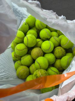 Used tennis balls - 50+