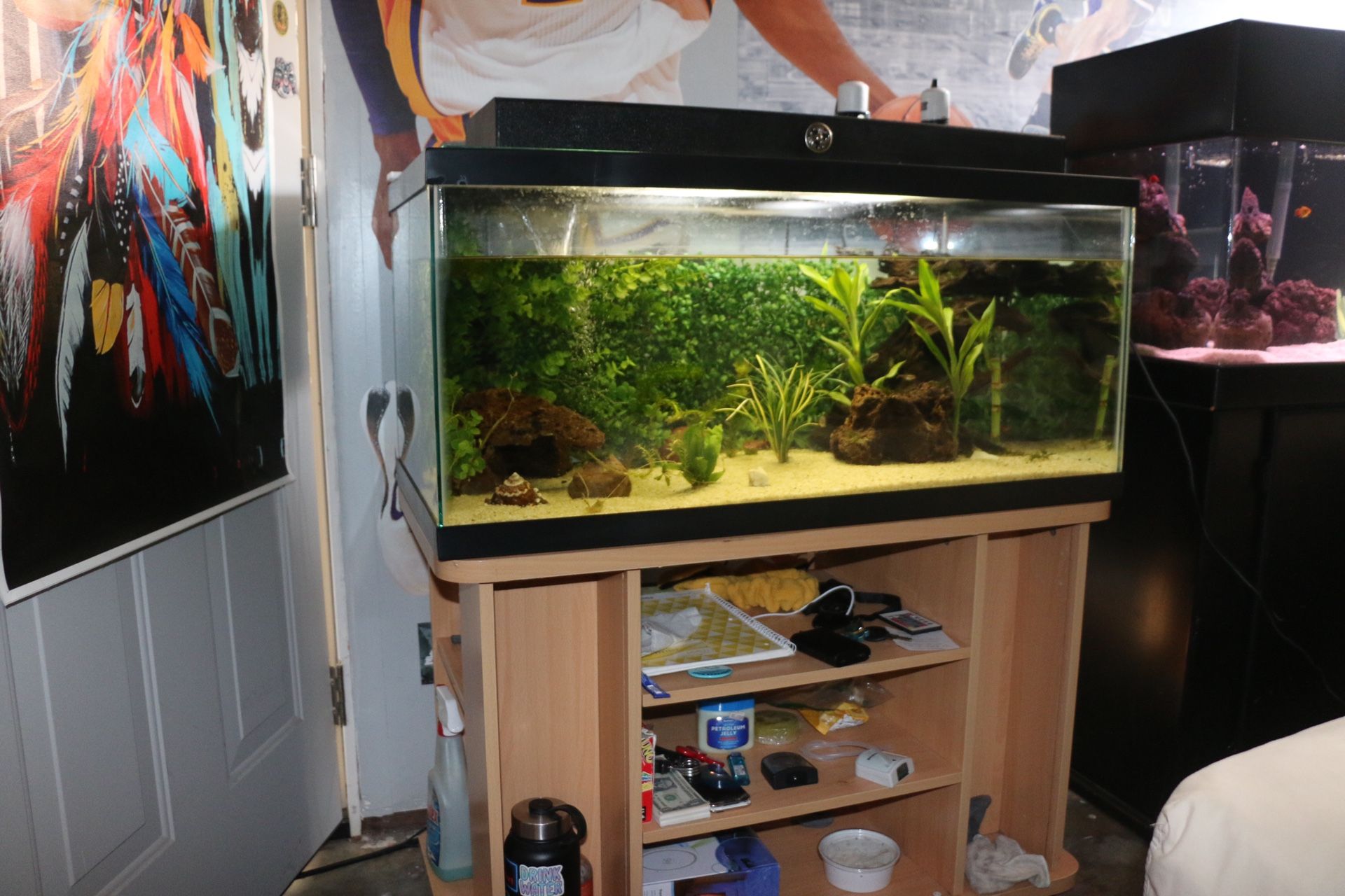 Fish Tank + Stand And Light