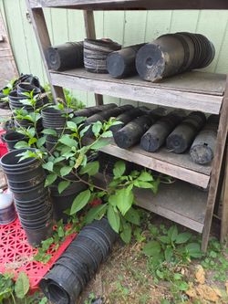 Flower pots for free. Customer picks up