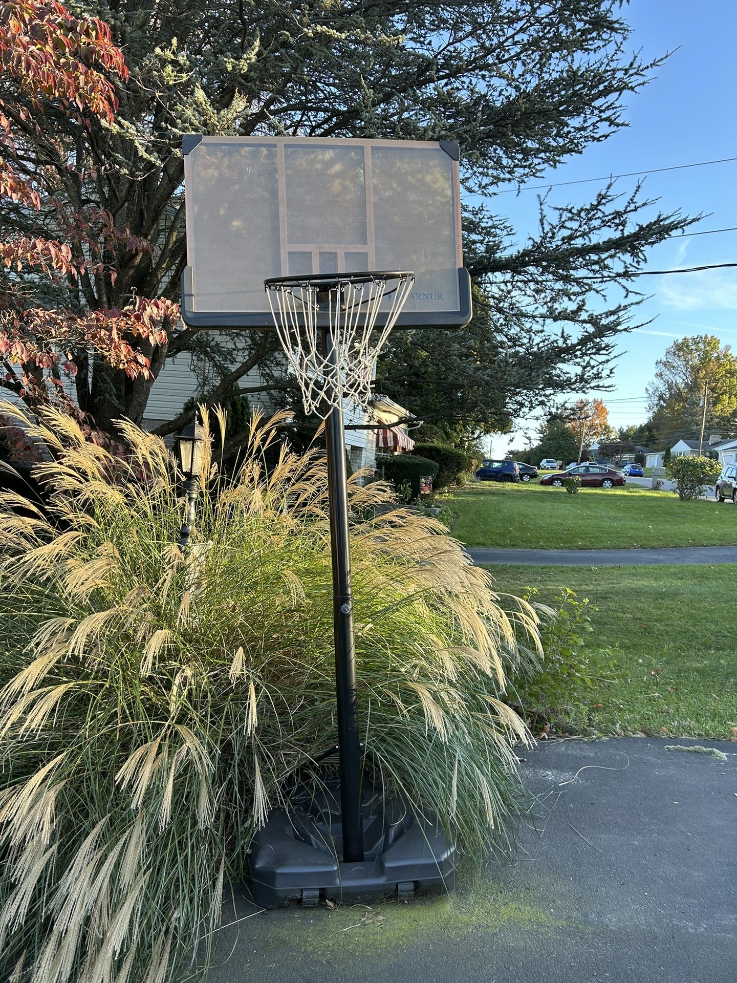 Basketball Hoop