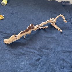 Branch Decorative 