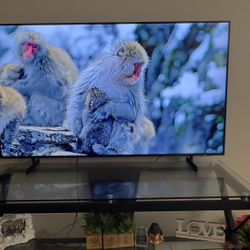 Samsung 55 Inch TV 