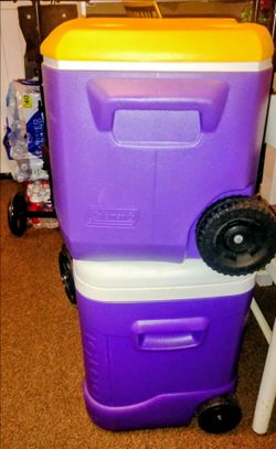 48 quart Igloo cooler $20