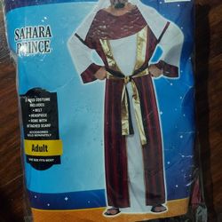 Disfraz (Prince Sahara)