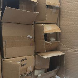 Trumpet Glass Vases 6 